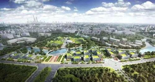 国产精区,引领科技潮流,打造民族品牌新高度